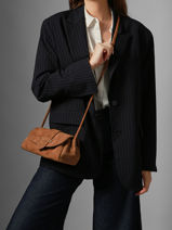 Shoulder Bag S Agnes Suede Leather Etrier Brown agnes EAGV205S-vue-porte