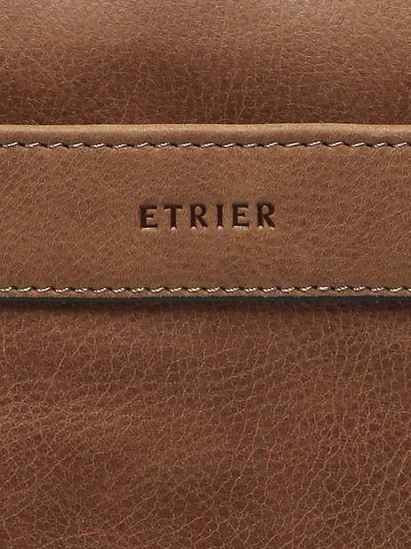 Leather Spider Crossbody Bag Etrier Brown spider ESPI732M other view 5